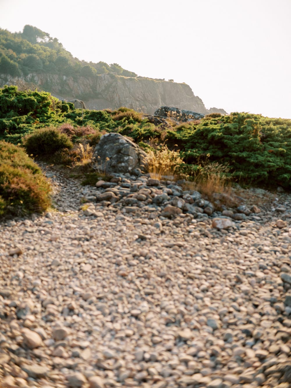 Joakim × Anna — Bröllopsfotograf och familjefotograf i Skåne och på Bjäre — Familjefotografering vid Hovs Hallar, image 15