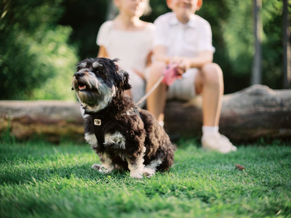 Joakim × Anna — Bröllopsfotograf och familjefotograf i Skåne och på Bjäre — Familjefotografering i kvällsljus, image 9