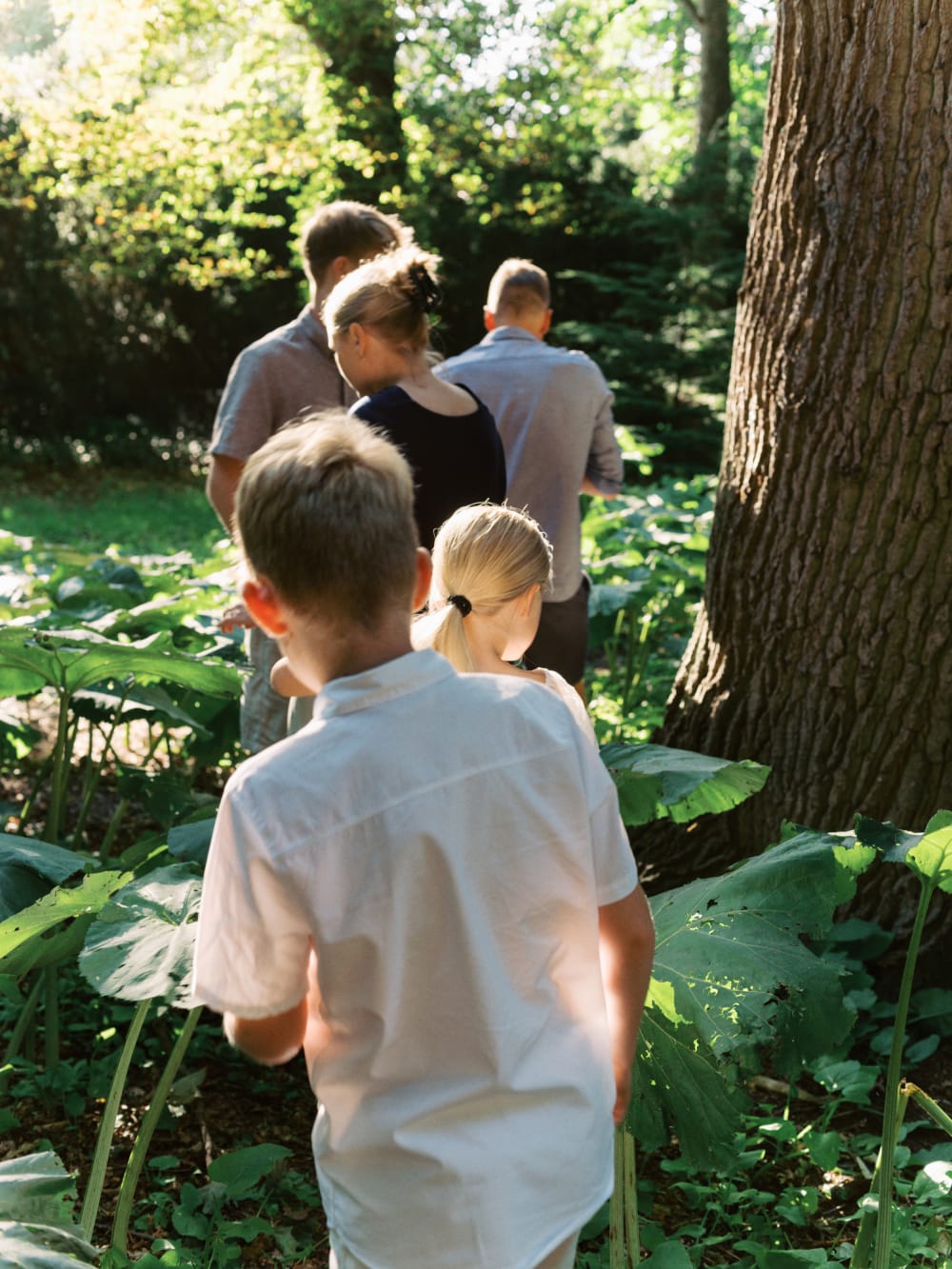 Joakim × Anna — Bröllopsfotograf och familjefotograf i Skåne och på Bjäre — Familjefotografering i kvällsljus, image 16