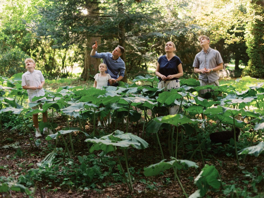 Joakim × Anna — Bröllopsfotograf och familjefotograf i Skåne och på Bjäre — Spotlight, image 16