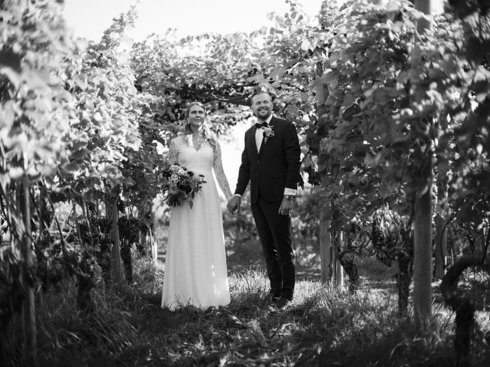 Joakim × Anna — Bröllopsfotograf och familjefotograf i Skåne och på Bjäre — Bröllopsporträtt på Flädie Mat och Vingård, image 3