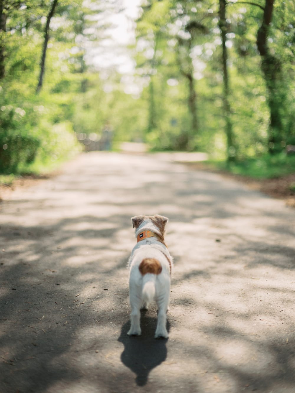 Joakim × Anna — Bröllopsfotograf och familjefotograf i Skåne och på Bjäre — Familjefotografering vid havet, image 35