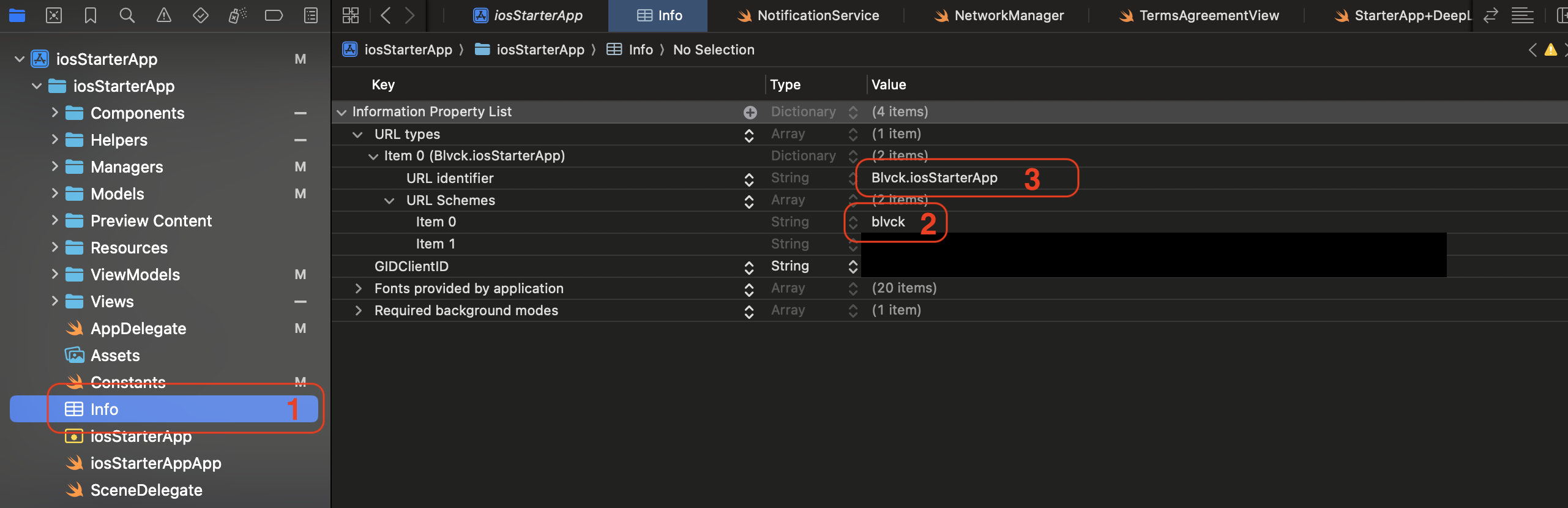 Update your info.plist