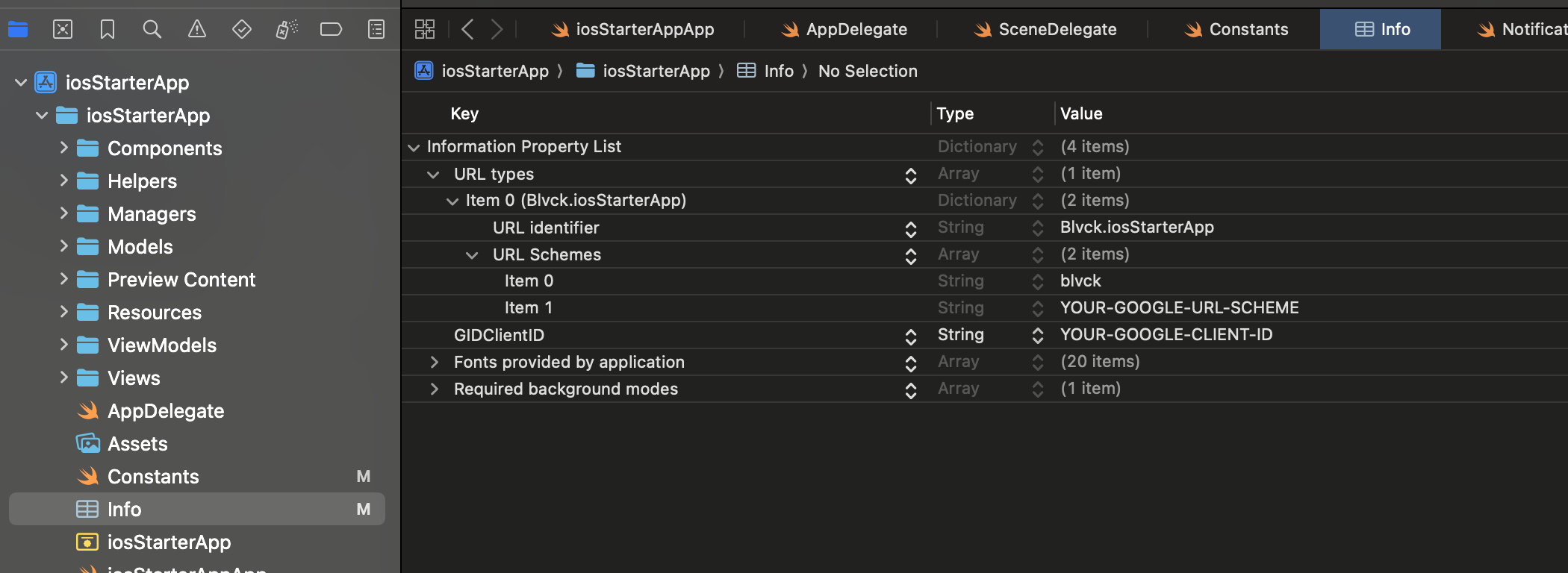 Update info.plist