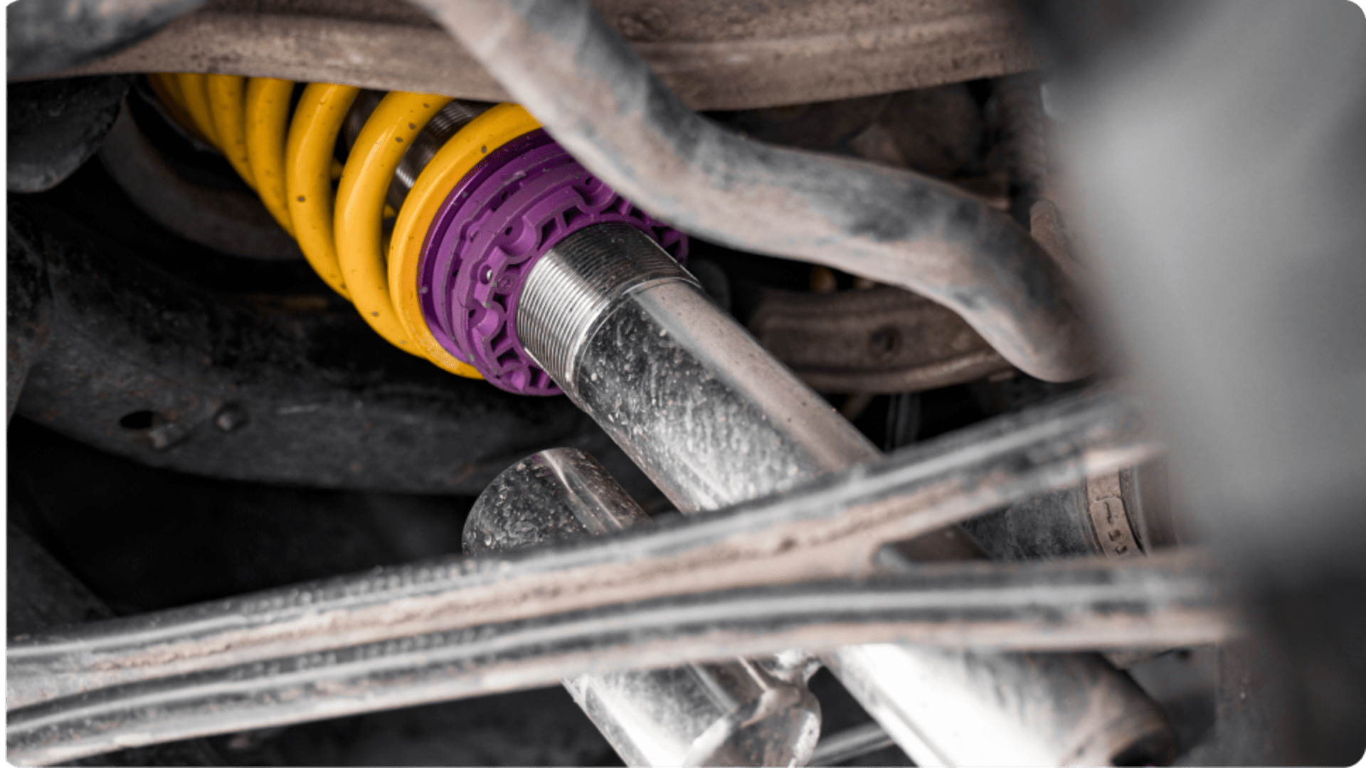 PDP > KW V3 Safari Style > SD 6 > IT > Text 2