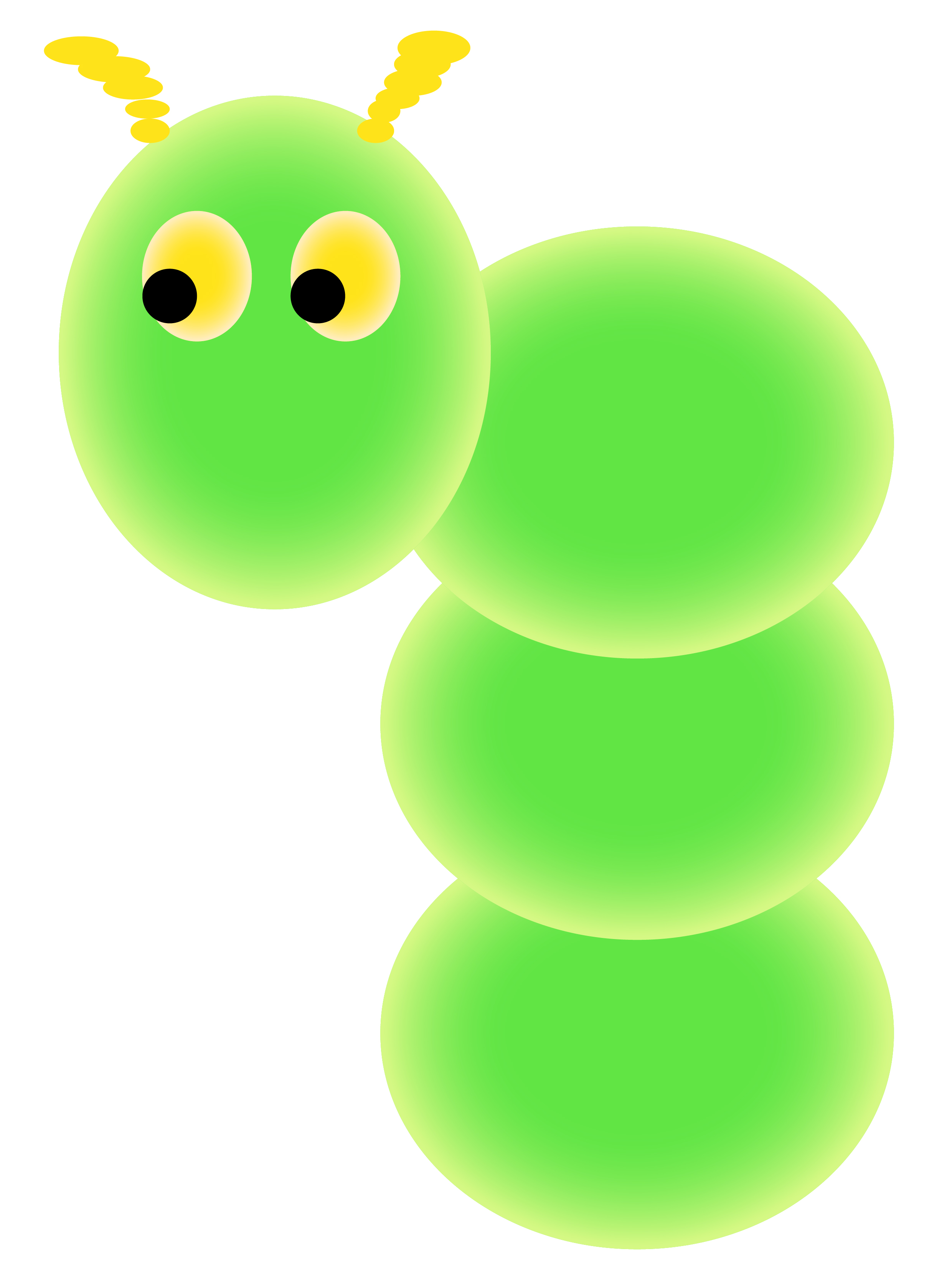 一点绿色和毛毛虫