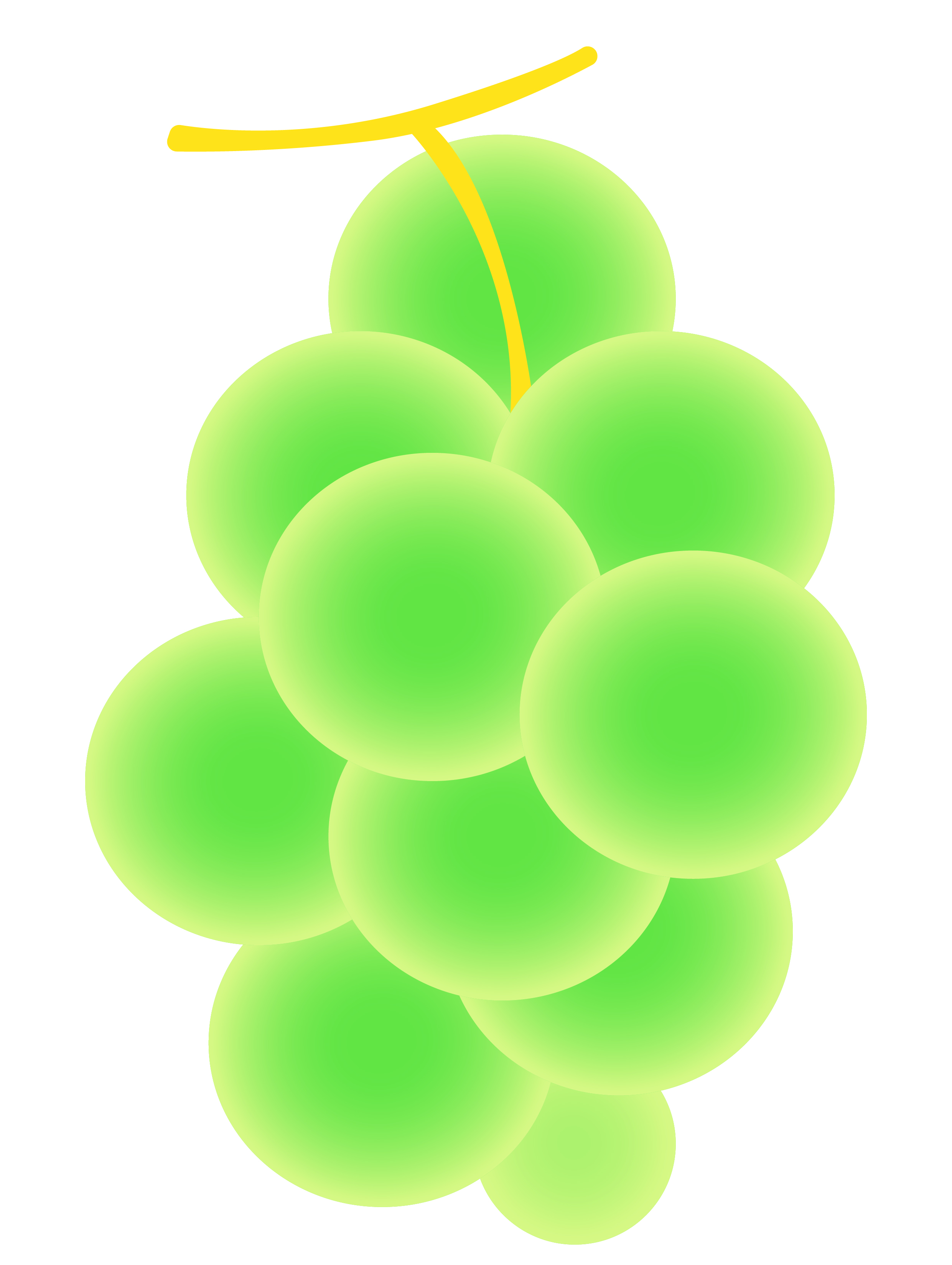 一点绿色和毛毛虫