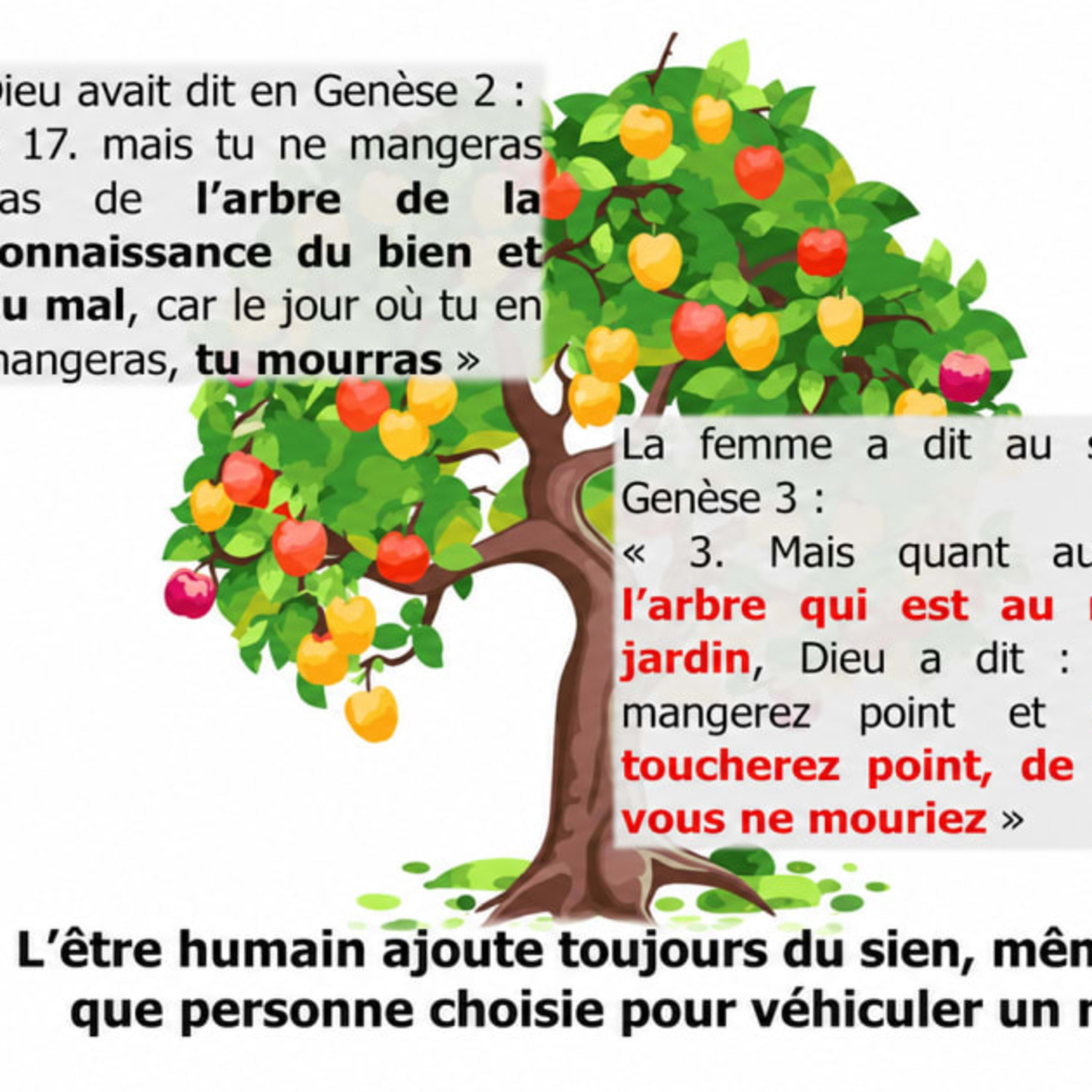 LE PRIVILÈGE D’ÊTRE CONDUIT PAR DIEU 12