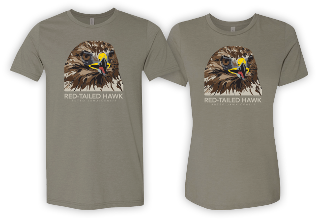 Men's and women's Red-tailed Hawk T-shirts