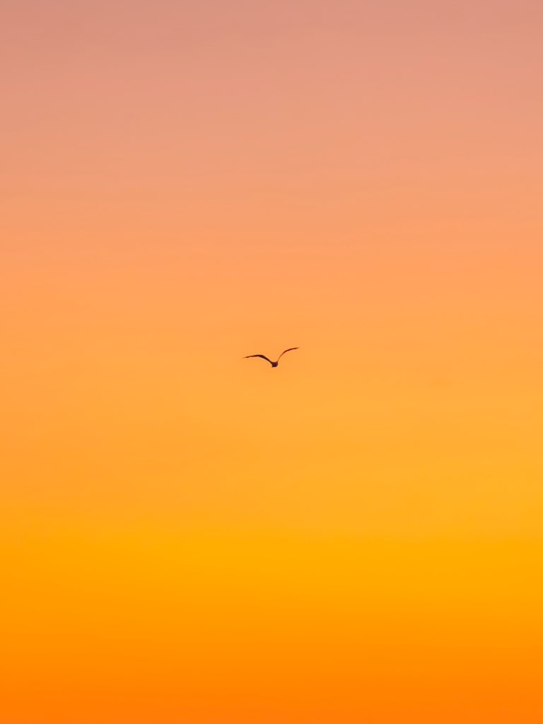 Color Your Business for Success: The Impact of Color Psychology on User-Experience on SMET Bahrain