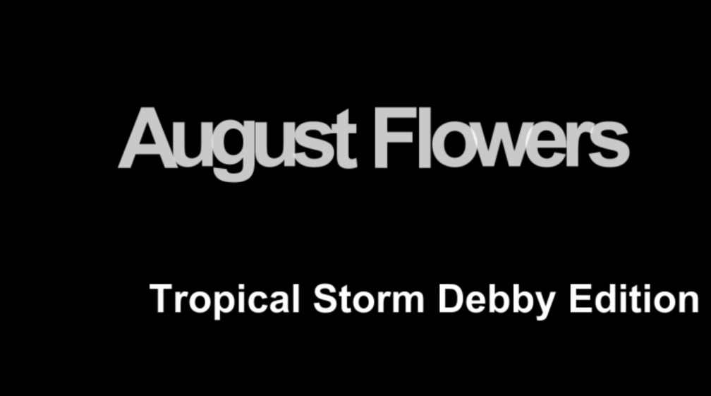 August Flowers: Pre-Landfall of Tropical Storm Debby Edition