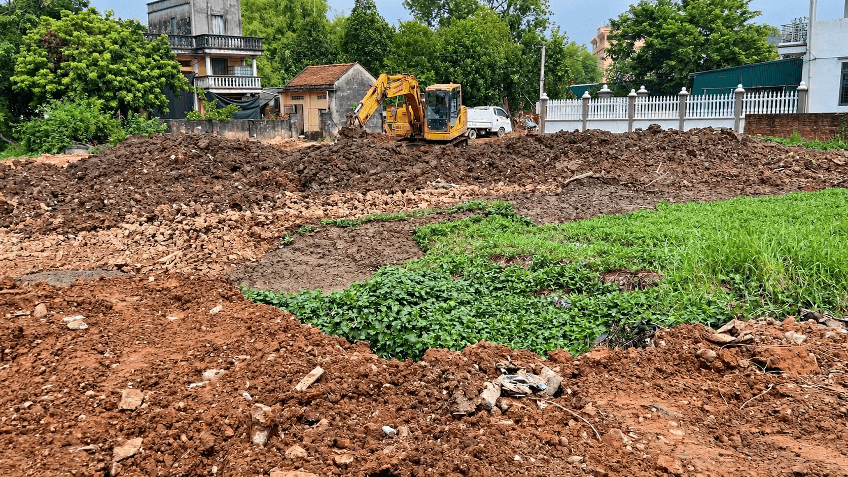 ong-mjanh.png