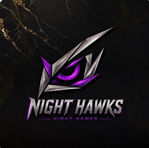 NIGHT HAWKS logo