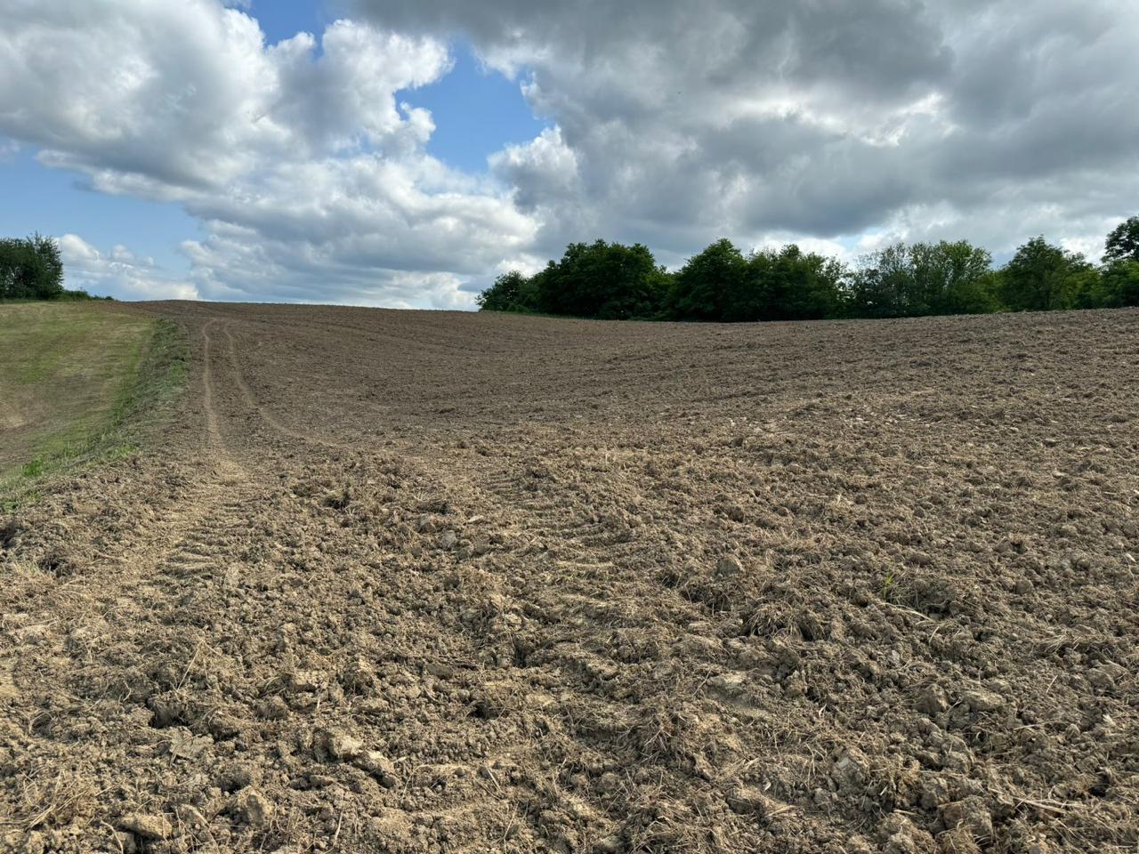 Croatia Land Ownership 1