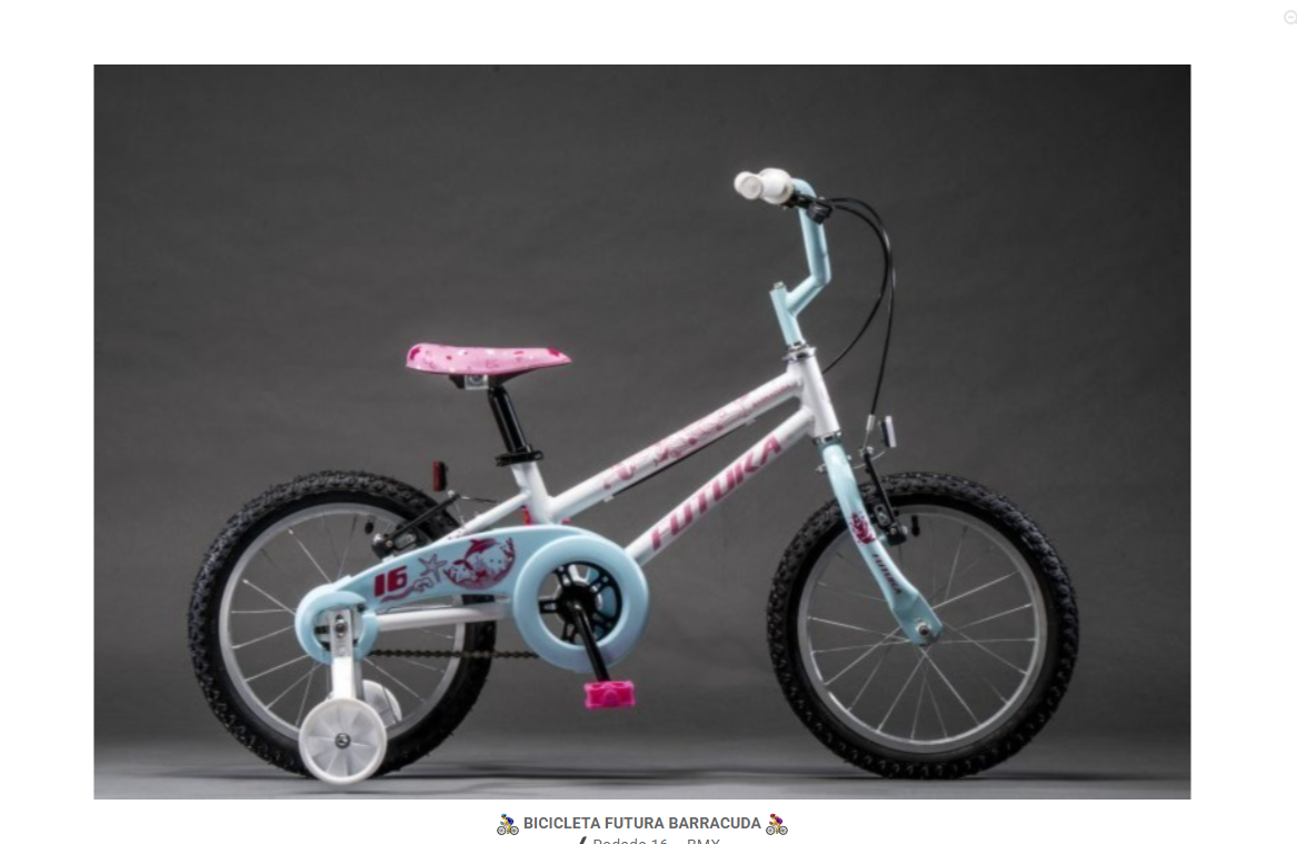 BICICLETA FUTURA BARRACUDA
