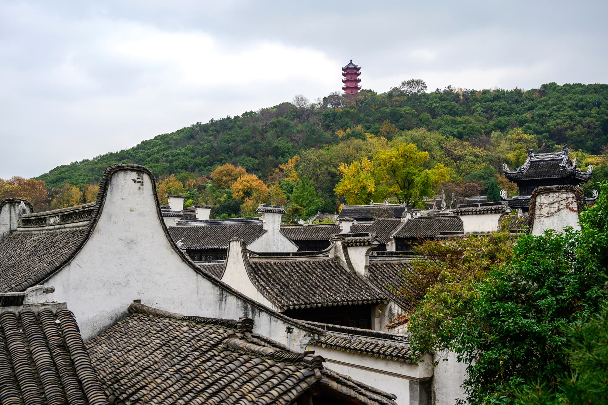 图片3