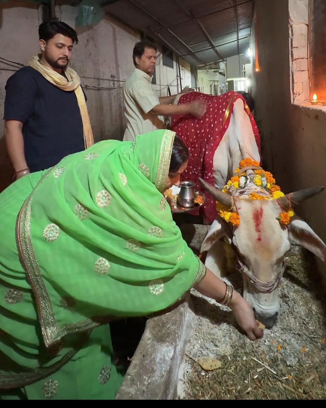 गौ माता सेवा