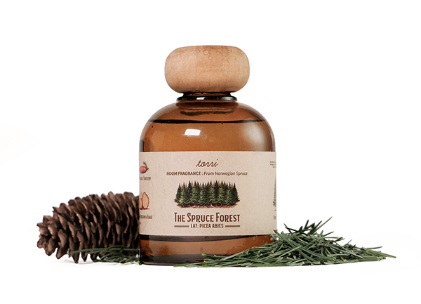 Spruce 전나무 향