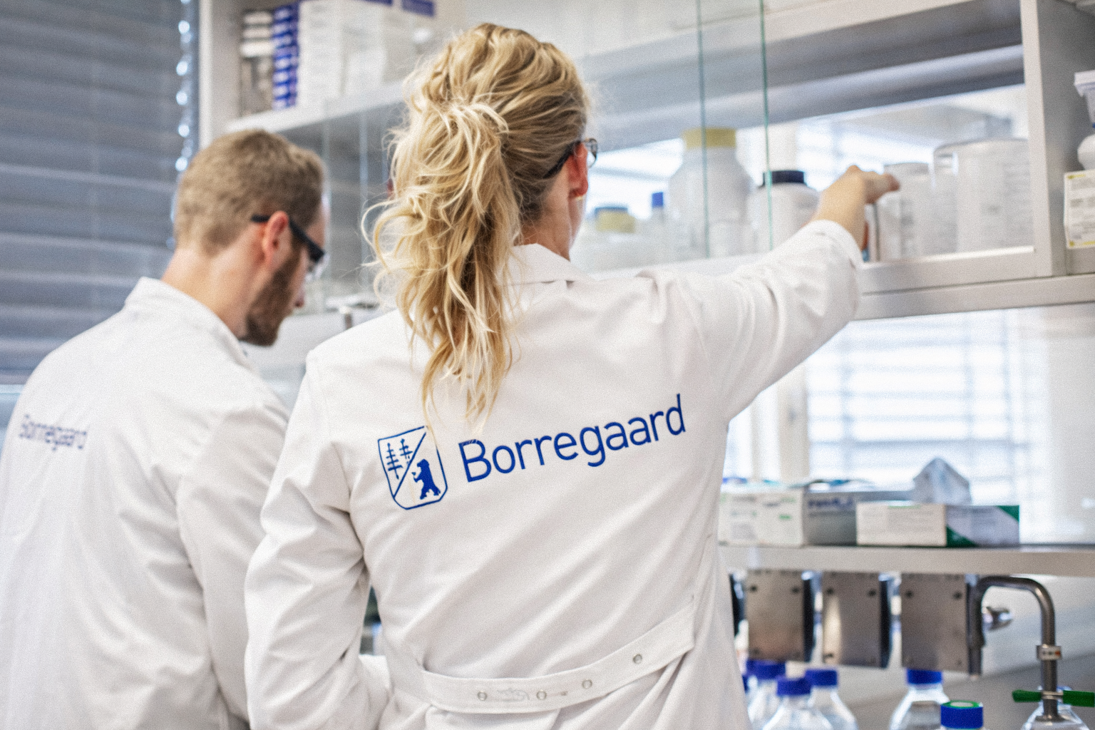 Borregaard 협업 이미지