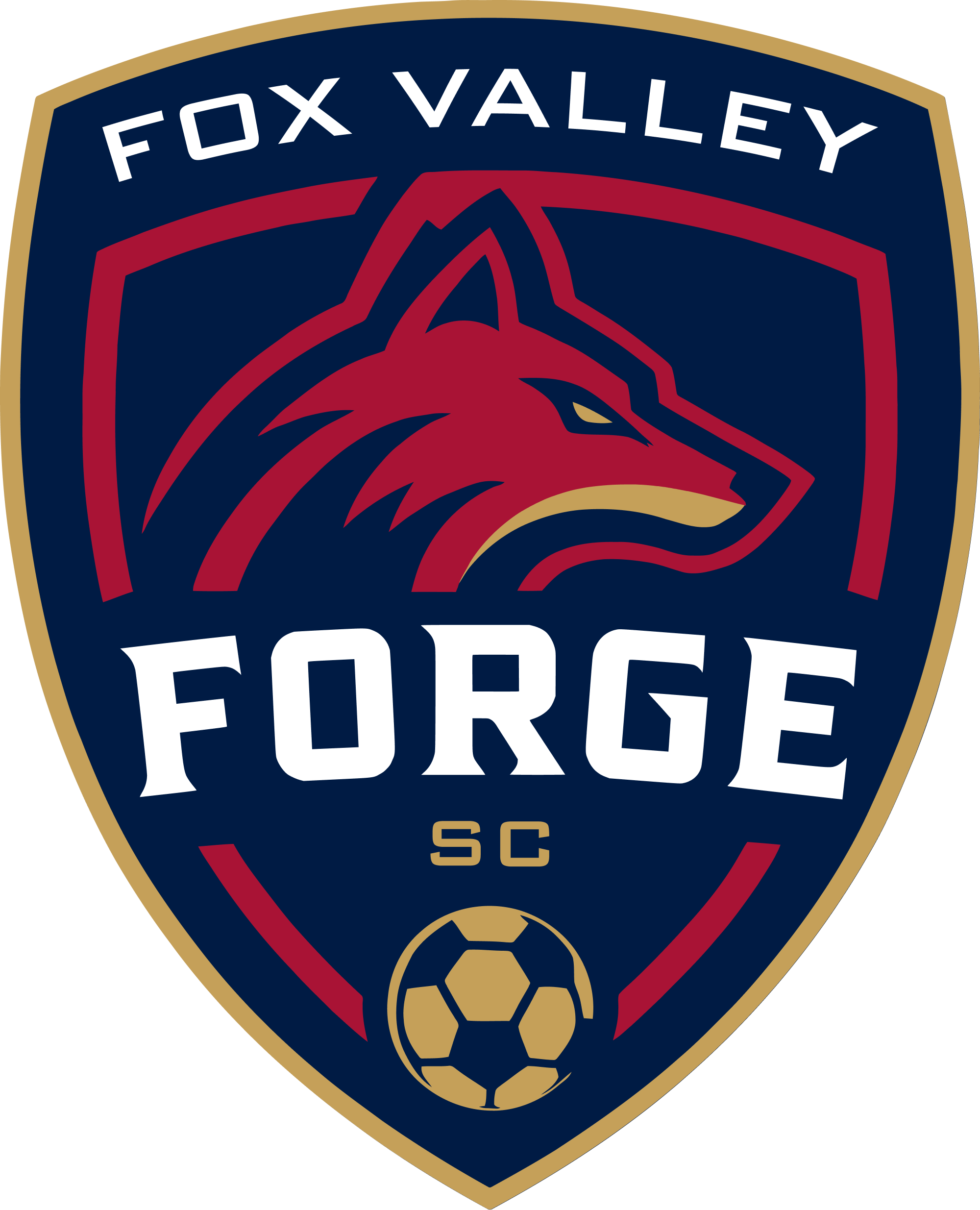 Fox Valley Forge SC — Primary Logo