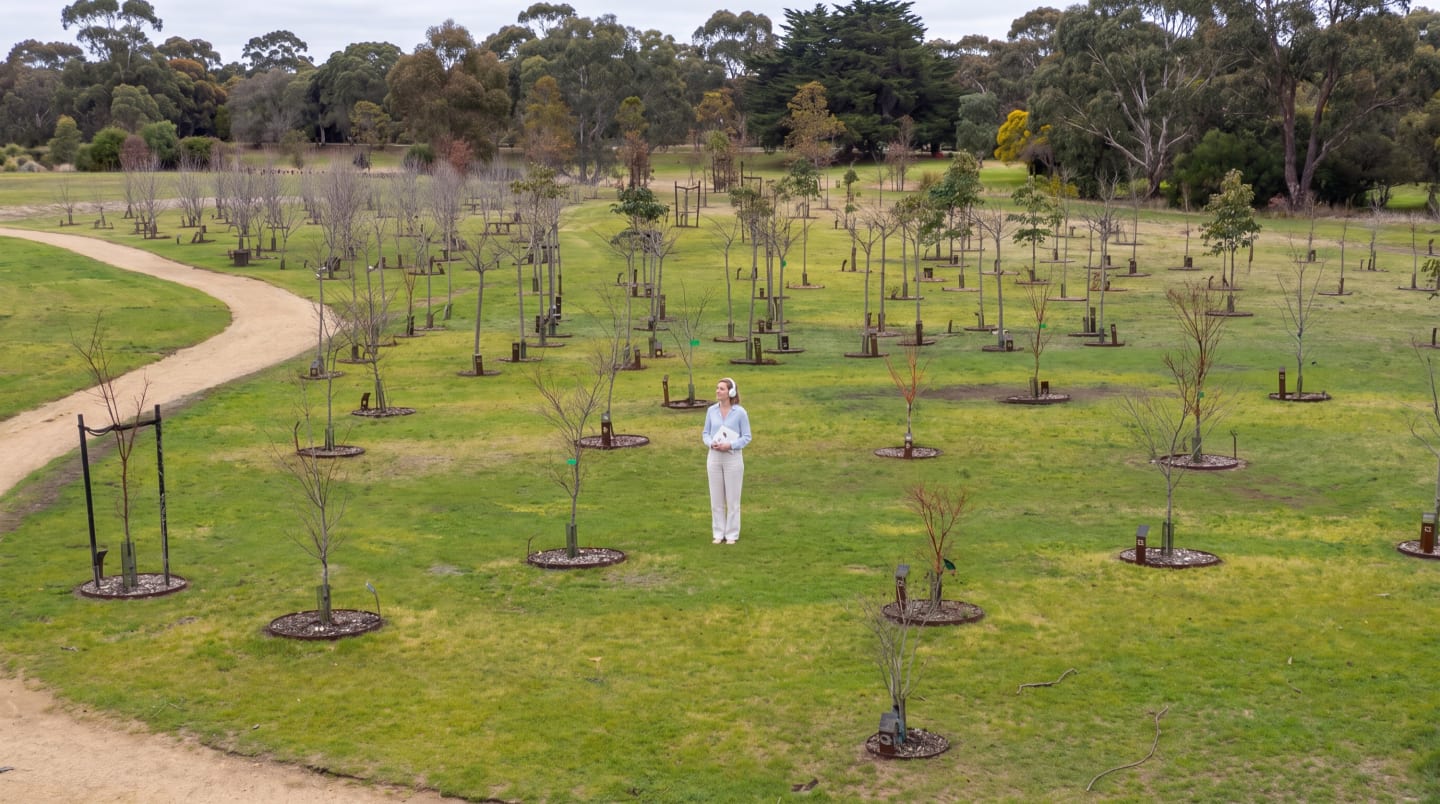 A visitor listening with headphones among the memorial trees at Mornington Green.