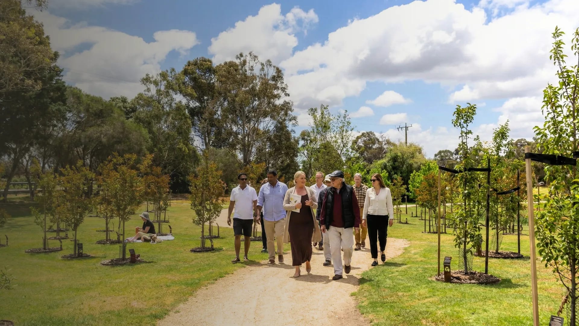 Olive memorial tree growing at Mornington Green Living Legacy Garden.
