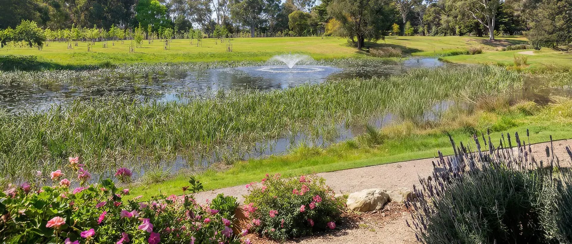 Peaceful garden lake with fountain, walking path and memorial trees at Mornington Green.