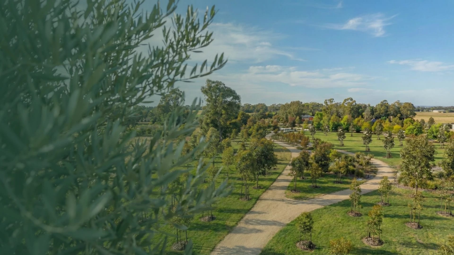 Peaceful memorial garden landscape at Living Legacy Garden Mornington Green.