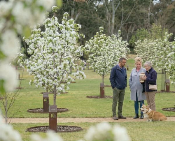 A family with their corgi holding an urn beside a blossoming family memorial tree at Mornington Green.