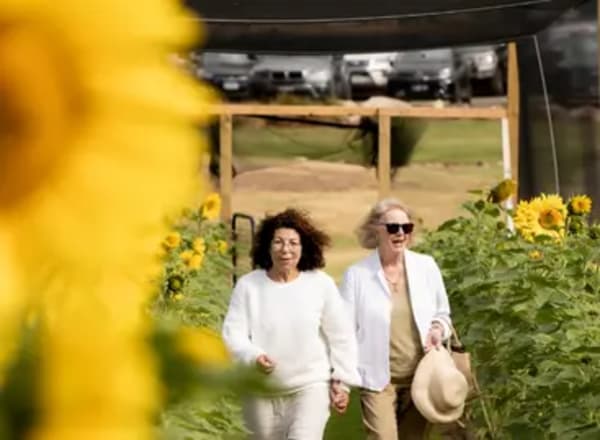 Visitors walking through the sunflower garden at Mornington Green.