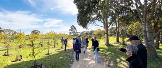 Visitors walking through the garden at a Mornington Green open day.