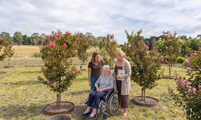 Two women and an elderly woman in a wheelchair viewing crepe myrtle memorial trees at Mornington Green.