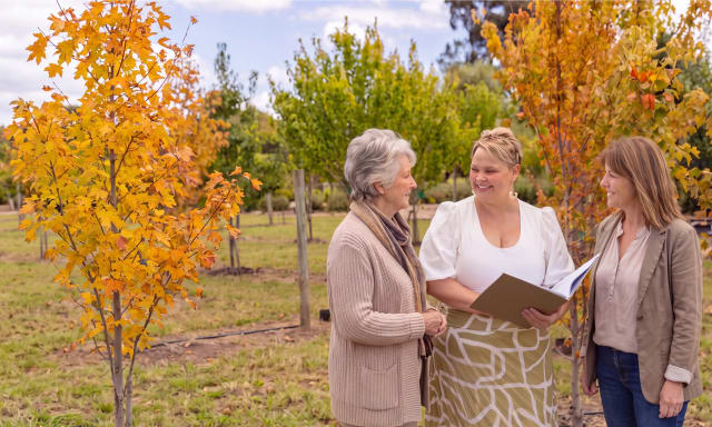A flowering Living Legacy memorial tree in the Mornington Green gardens.