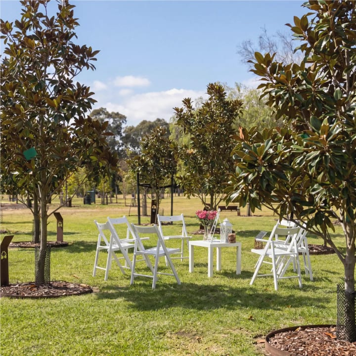 White folding chairs and flowers set for a memorial ceremony among magnolia trees at Mornington Green.