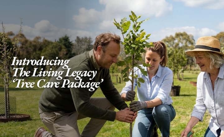 A man and two women kneeling together to plant a young memorial tree at Mornington Green, with the words Introducing The Living Legacy Tree Care Package.