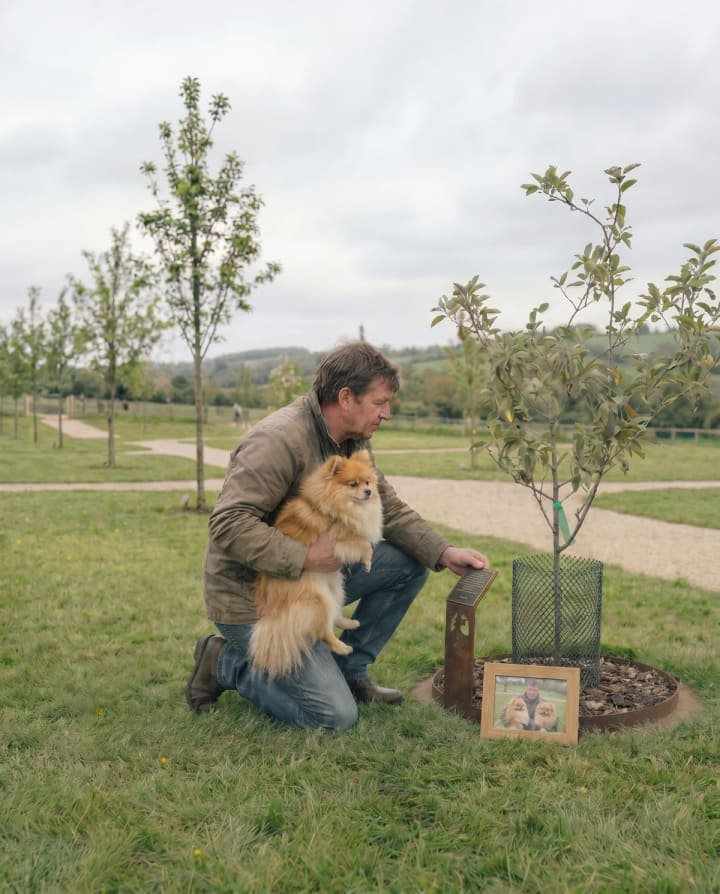 A man visiting his memorial tree at Mornington Green with his dog