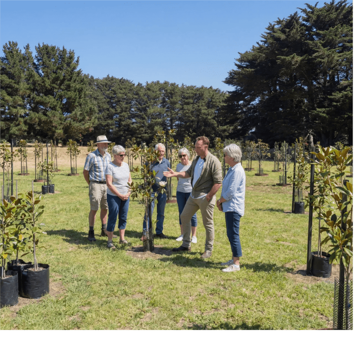 A small group touring the memorial trees with a guide at Mornington Green on a clear day.