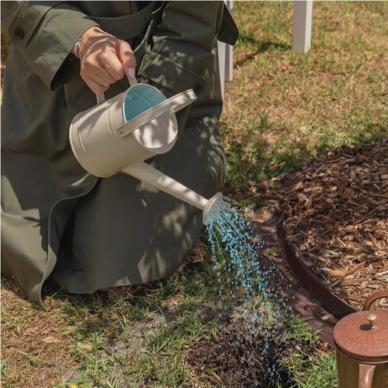 Treated ashes being watered into the soil at the base of a Family Memorial Tree.