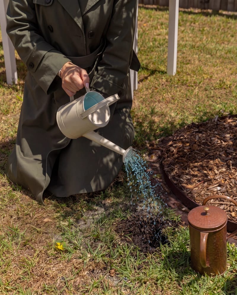 Treated ashes being returned to the earth at Mornington Green