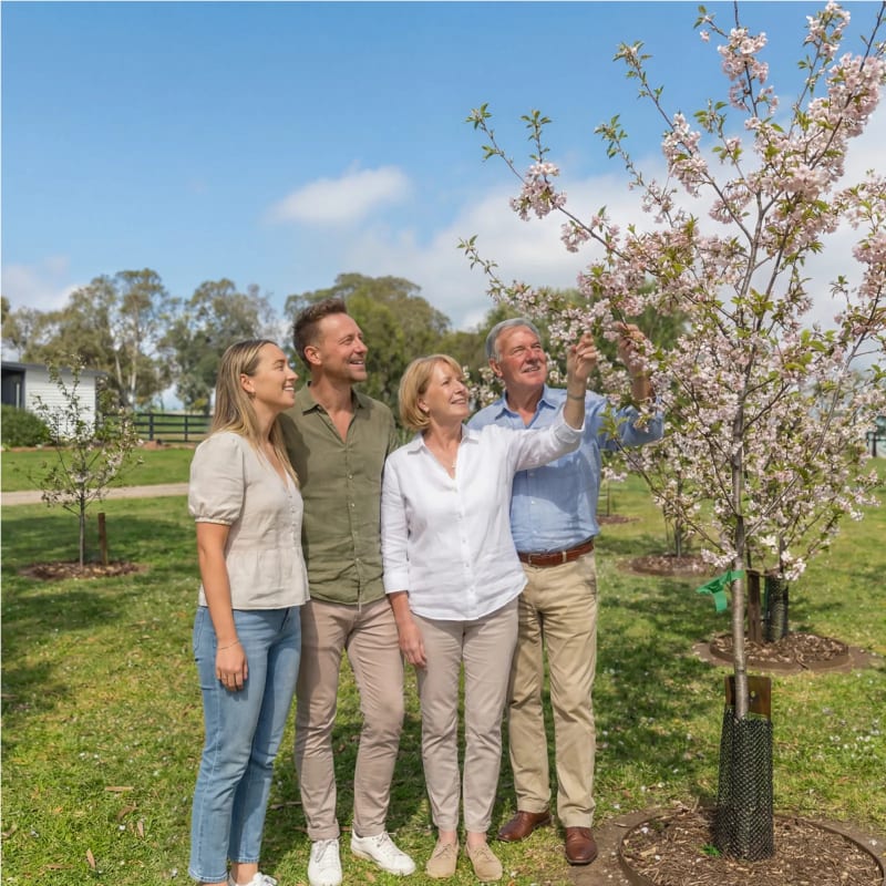 A family admiring the blossom on their memorial tree at Mornington Green