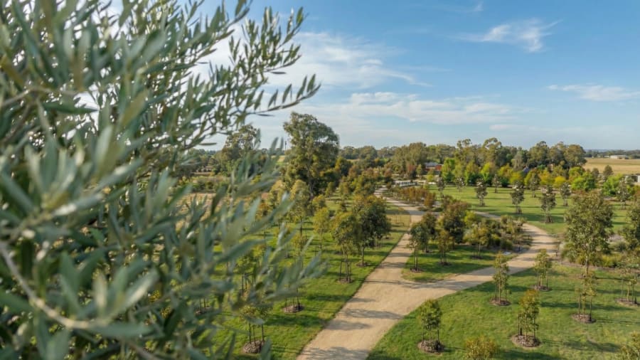 Aerial view of garden pathways winding through Mornington Green Living Legacy Gardens.