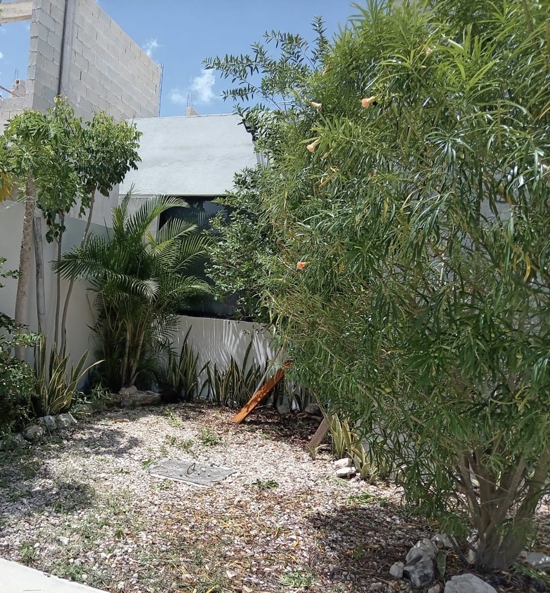 CASA EN REAL MONTEJO DE UNA PLANTA / AMUEBLADA en Real Montejo