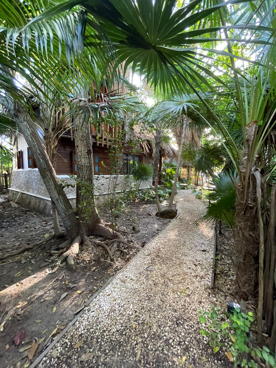 CABAÑAS EN VENTA ISLA HOLBOX en Isla Holbox