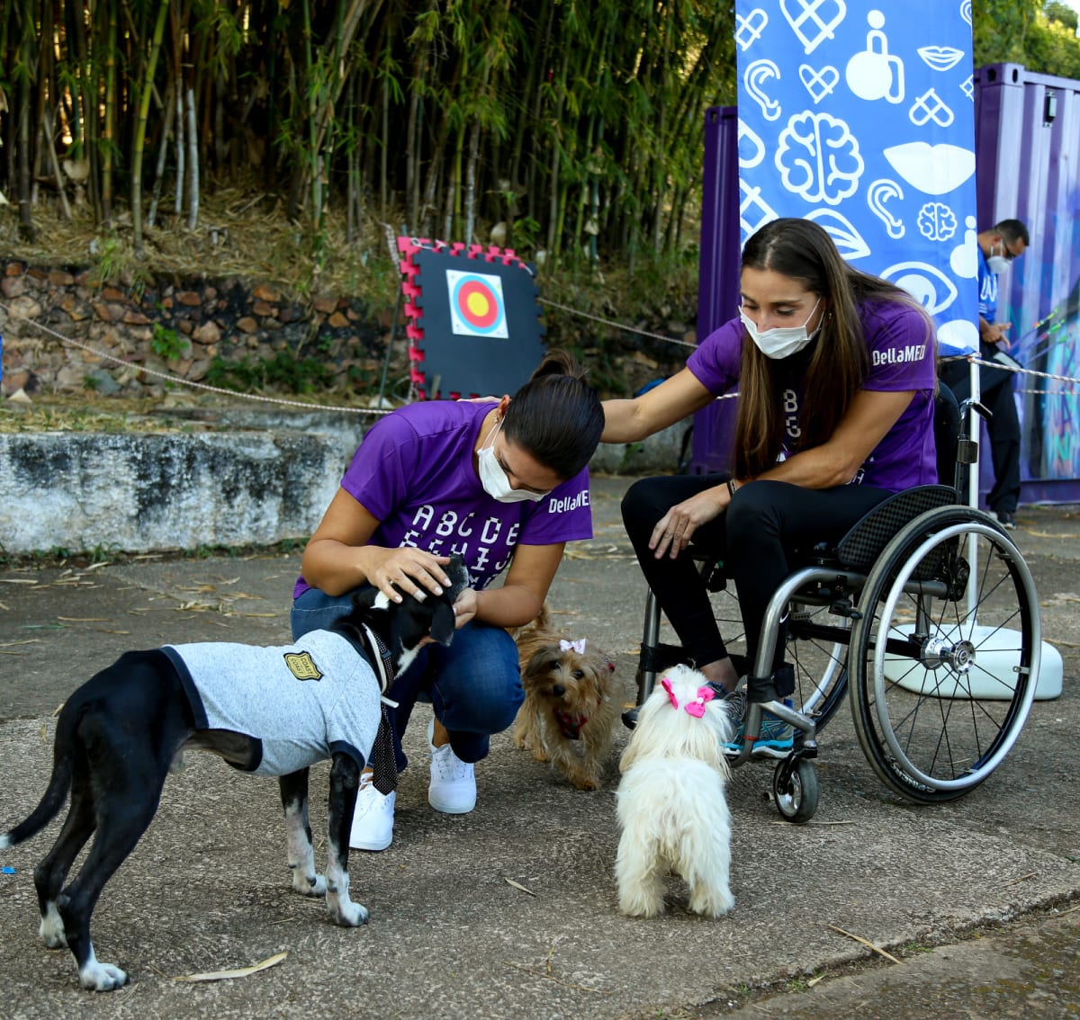 Mulher em cadeira de rodas interage com cães durante atividade ao ar livre de terapia assistida por animais