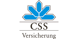 CSS Logo