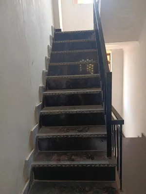 848039591O-1790508063135.jpg