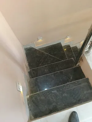 1000293067.jpg