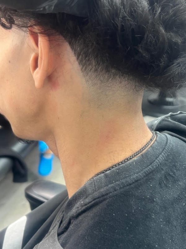 Work by Luis 6