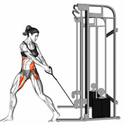 Ejercicio Cable Twist (Down to up)