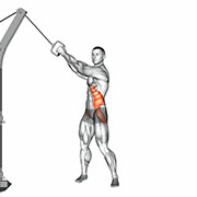 Ejercicio Cable Twist (Up to down)